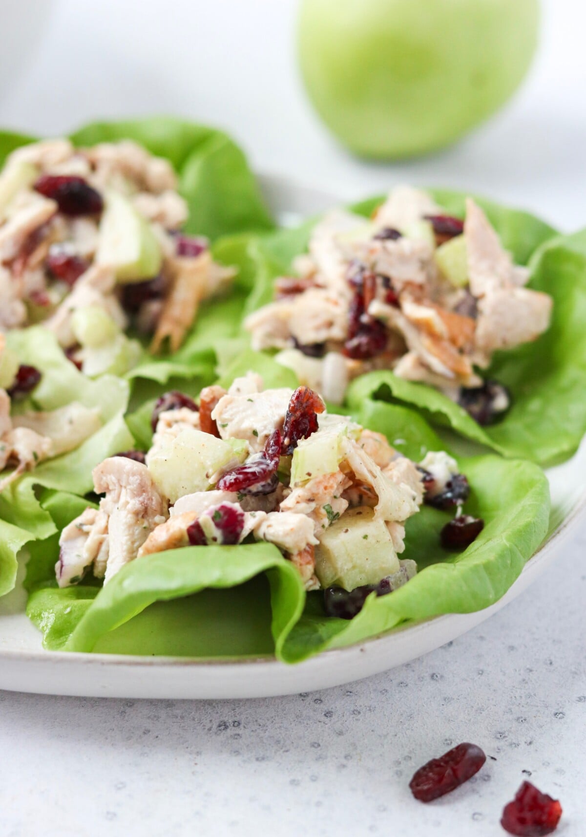 Easy Cranberry Pecan Chicken Salad (High Protein)