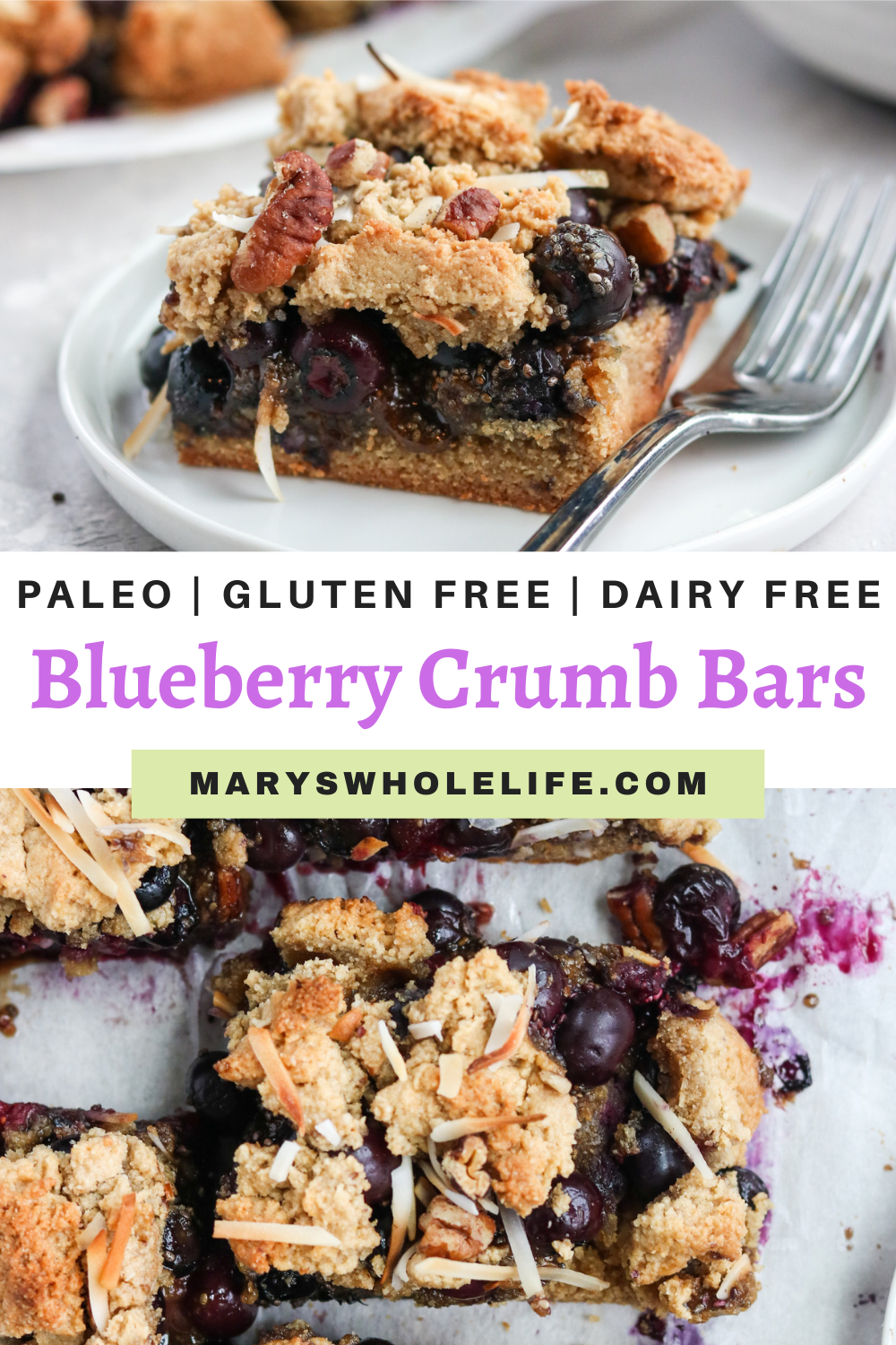 paleo, gluten-free, and dairy free blueberry crumb bars
