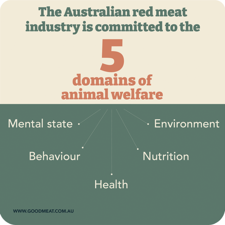 5 domains of animal welfare