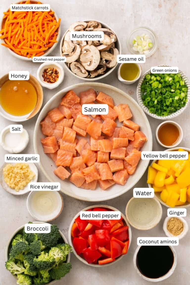 30Minute Salmon Stir Fry with GlutenFree Teriyaki Sauce