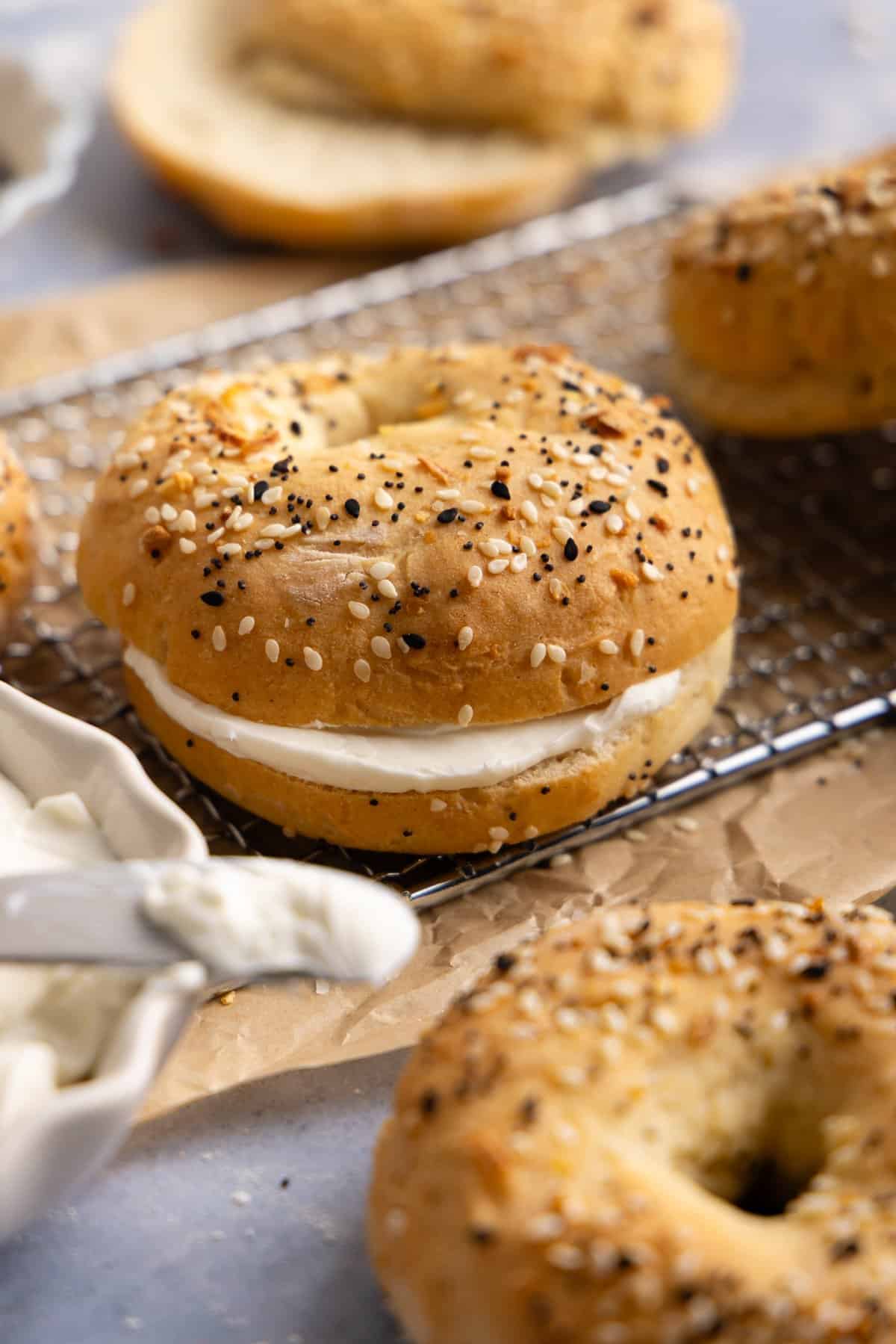 Close-up of a cottage cheese bagel filled with cream cheese.