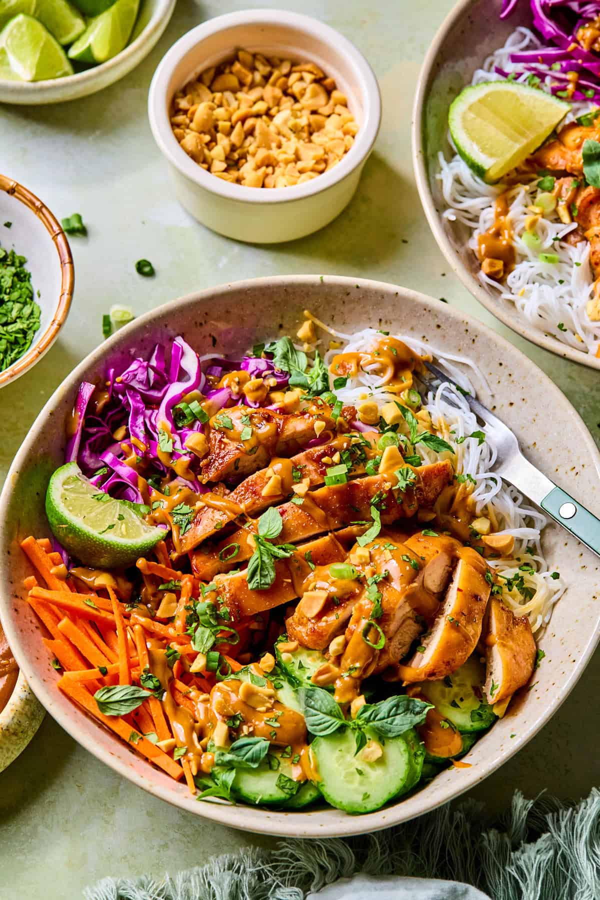 Fresh spring roll bowl drizzled with peanut sauce, with peanuts, fresh limes, and cilantro in the background.