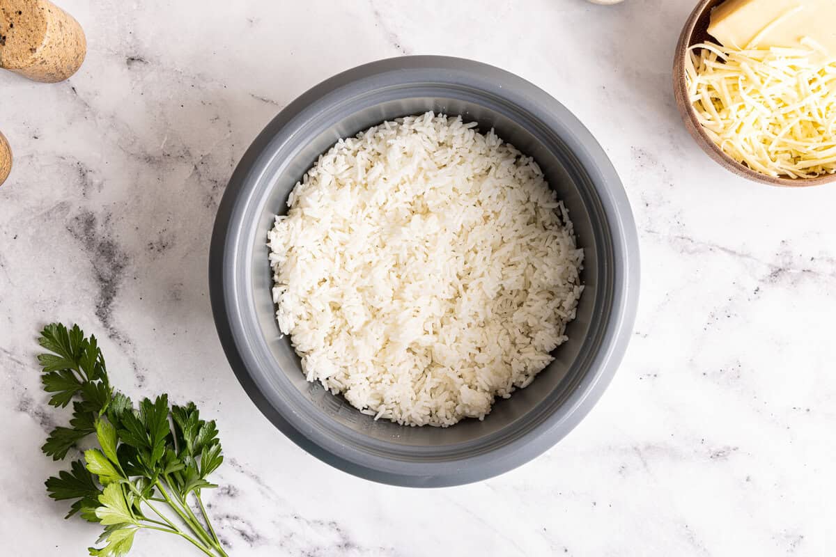 the base of a rice cooker holding cooked rice.